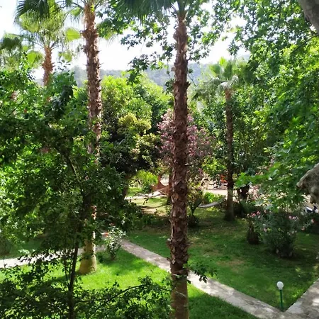Olympos Yavuz * Çıralı
