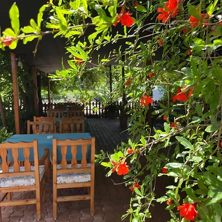 Отель Olympos Yavuz *