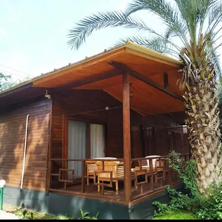 Отель Olympos Yavuz Чирали