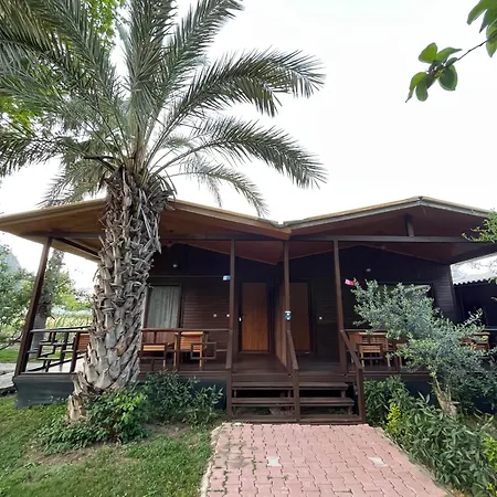 Olympos Yavuz Отель