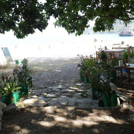 Отель Olympos Yavuz *