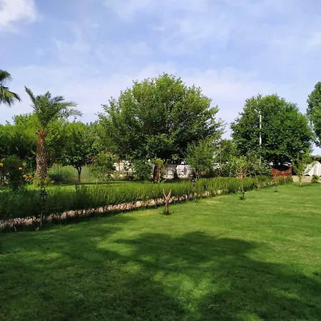 Отель Olympos Yavuz Чирали