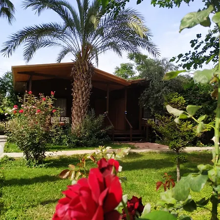 Olympos Yavuz Отель *