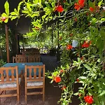 Hotel Olympos Yavuz *