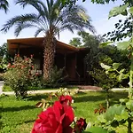 Olympos Yavuz Hotel *