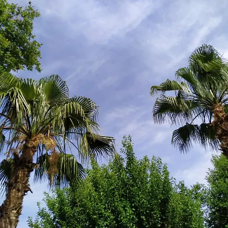 Olympos Yavuz *