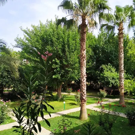 Olympos Yavuz Hotell *