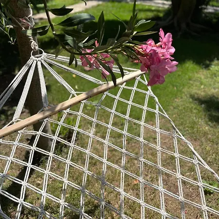 奥林波斯亚沃兹酒店 *