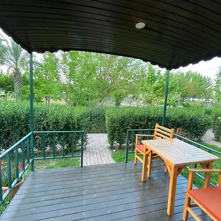 Olympos Yavuz *