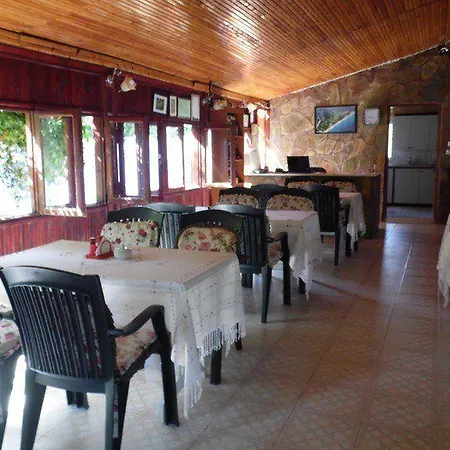 Olympos Yavuz Çıralı