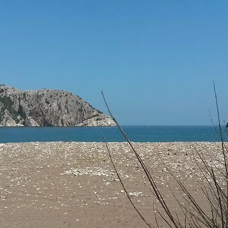 Olympos Yavuz Çıralı