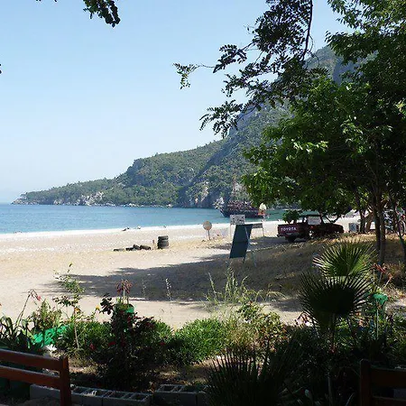 Olympos Yavuz * Çıralı