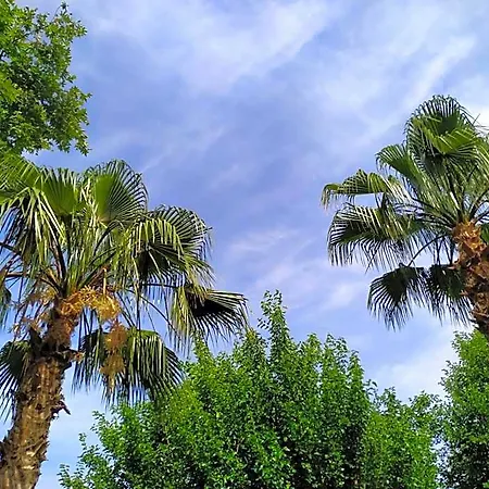 Olympos Yavuz