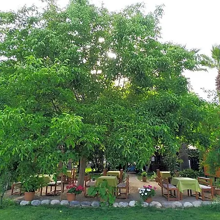 Olympos Yavuz