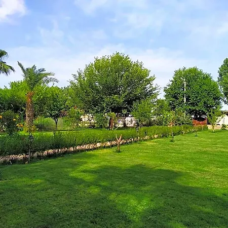 Olympos Yavuz * Çıralı