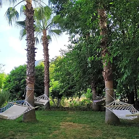 Olympos Yavuz
