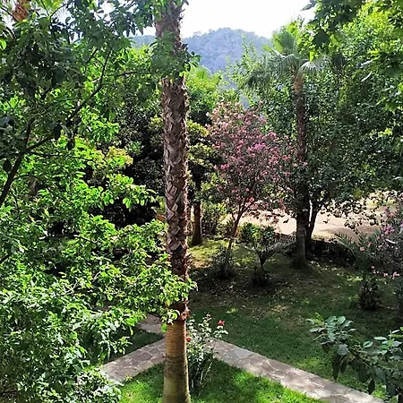 호텔 Olympos Yavuz *