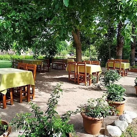 Olympos Yavuz * Çıralı