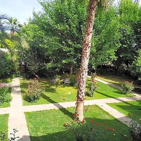 Olympos Yavuz 호텔 Çıralı