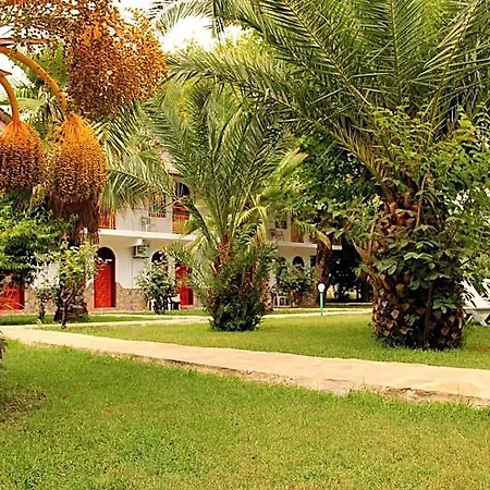 Olympos Yavuz