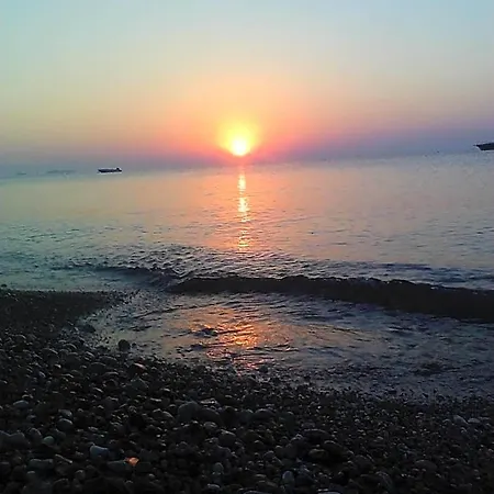 Olympos Yavuz Hotel Çıralı