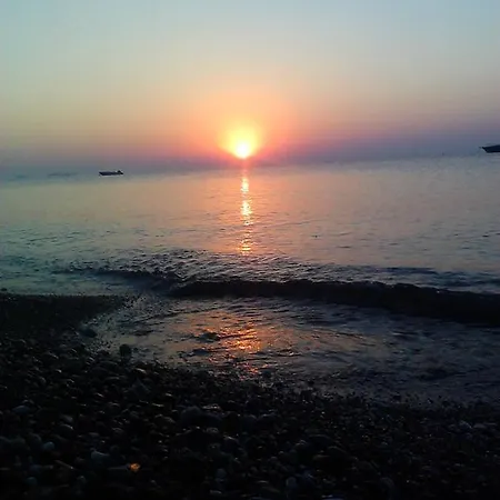 Olympos Yavuz