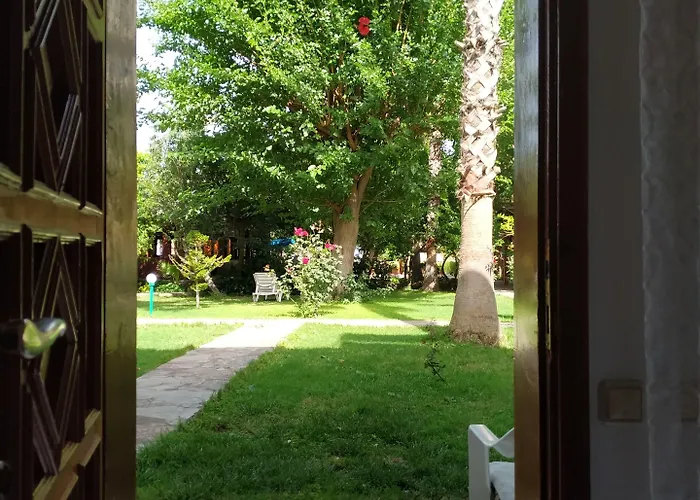 Olympos Yavuz Çıralı