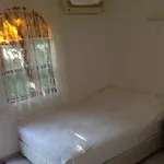 Olympos Yavuz Çıralı