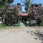 Olympos Yavuz * Çıralı