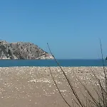 Olympos Yavuz Çıralı
