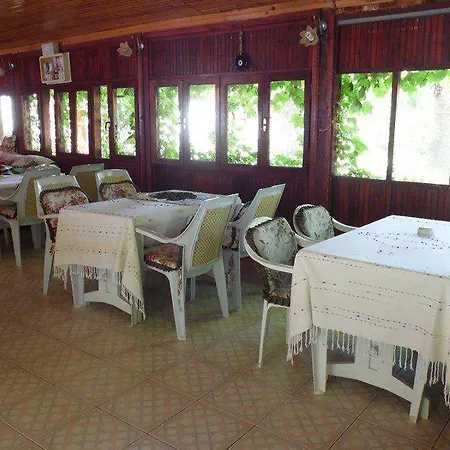 Olympos Yavuz *