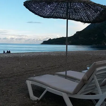 Olympos Yavuz *