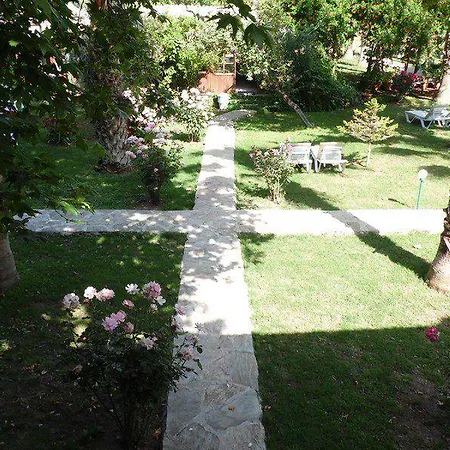 Olympos Yavuz