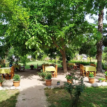 Olympos Yavuz * Çıralı
