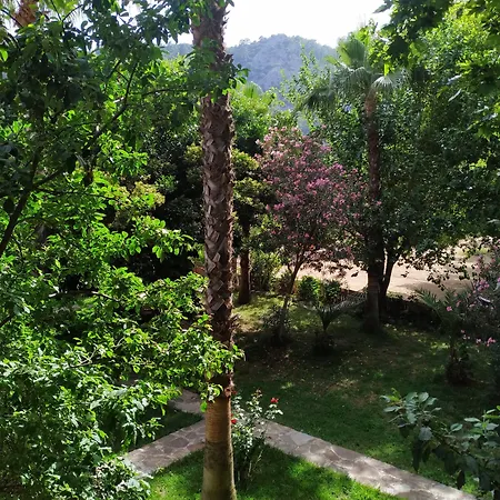 Olympos Yavuz *