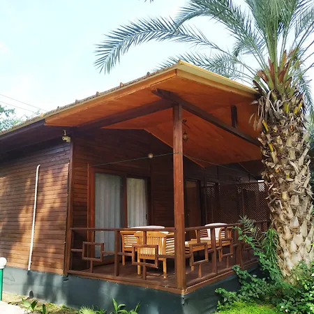 Olympos Yavuz Çıralı