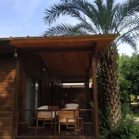 Отель Olympos Yavuz